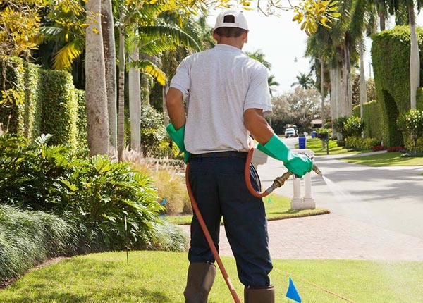 About Grafton NE Pest Control Pros